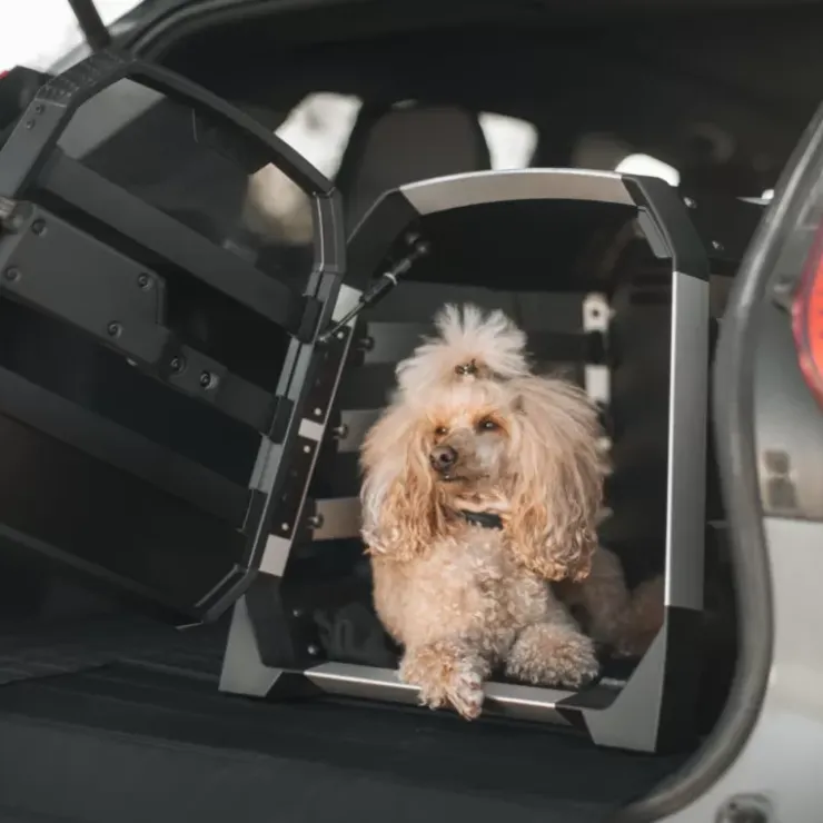 Best Thule Allax