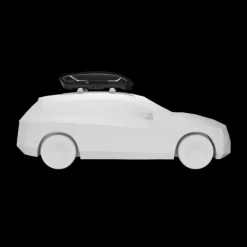 Thule Coffre de toit Motion 3 M