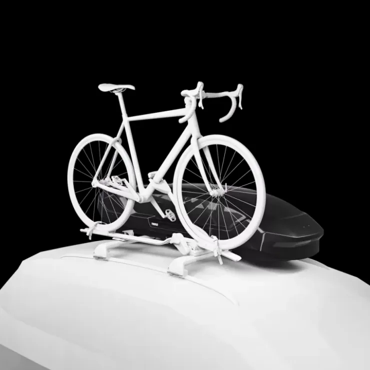 Sale Thule Coffre de toit Motion 3 Sport