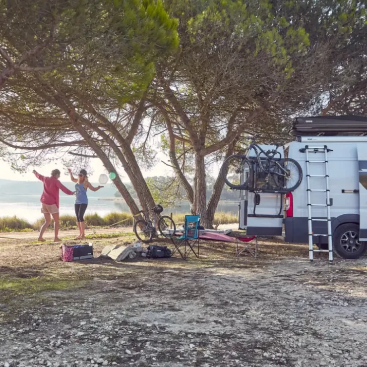 Online Thule Elite Van XT | Transit 5 H3