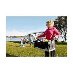 Best Thule Go Box