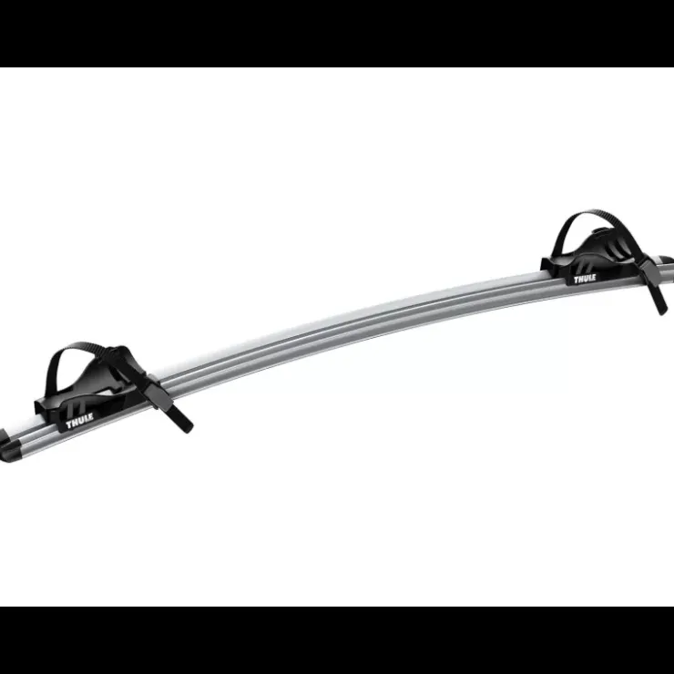 Hot Thule Rail Fatbike Sport G2