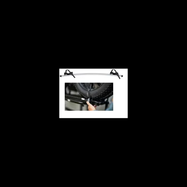 Hot Thule Rail Fatbike Sport G2