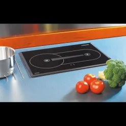 Clearance Webasto Cooker X100